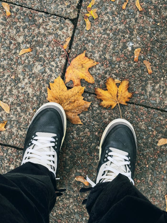 about-img-01 Free stock photo of autum leaves, autumn, beautiful leaves